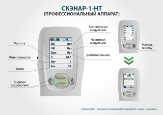 СКЭНАР-1-НТ (исполнение 01)  в Химках купить Медицинская техника - denasosteo.ru 